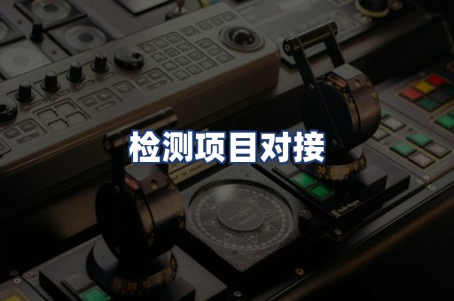 检测项目对接
