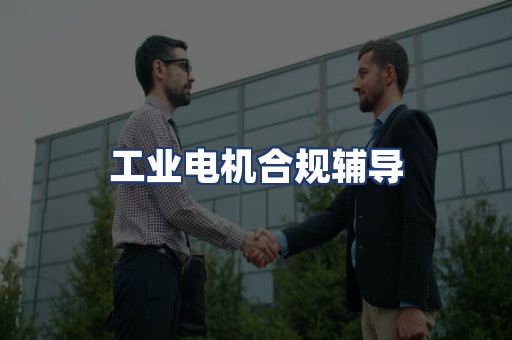 工业电机合规辅导